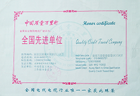 2002年度中國(guó)質(zhì)量萬里行.JPG